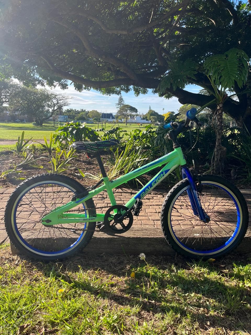 Raleigh MXR