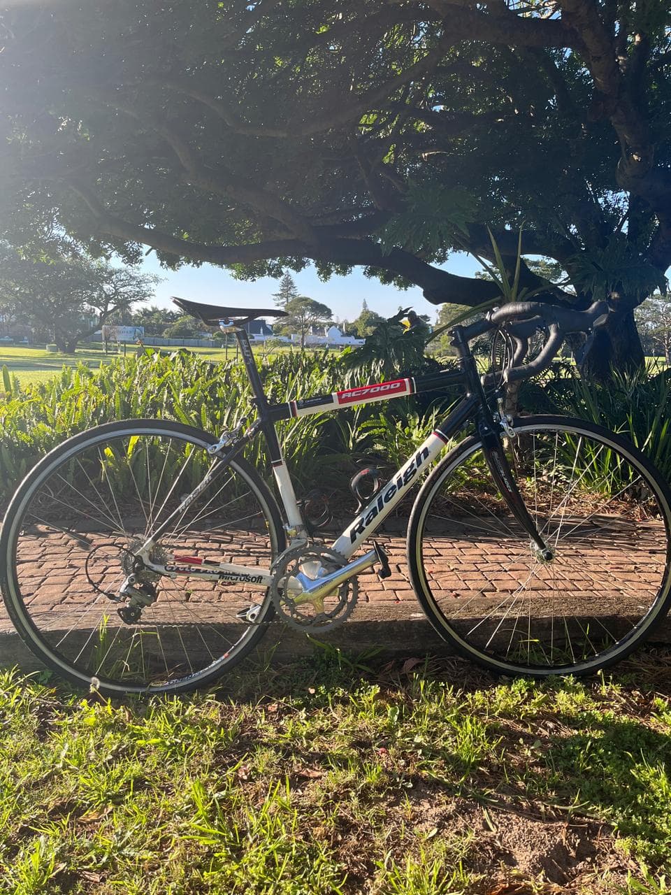 Raleigh RC 7000