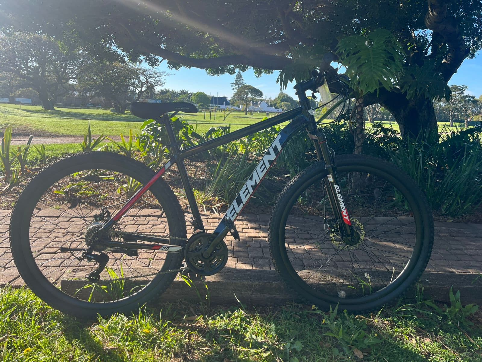 Apex Element