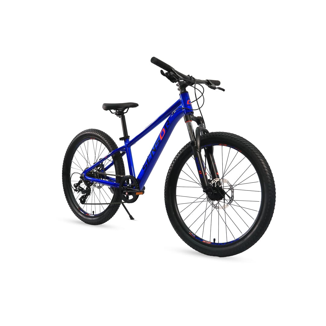 Sensor Rider 24, photo 2